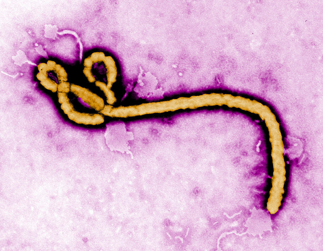 Column: Please Politicize Ebola